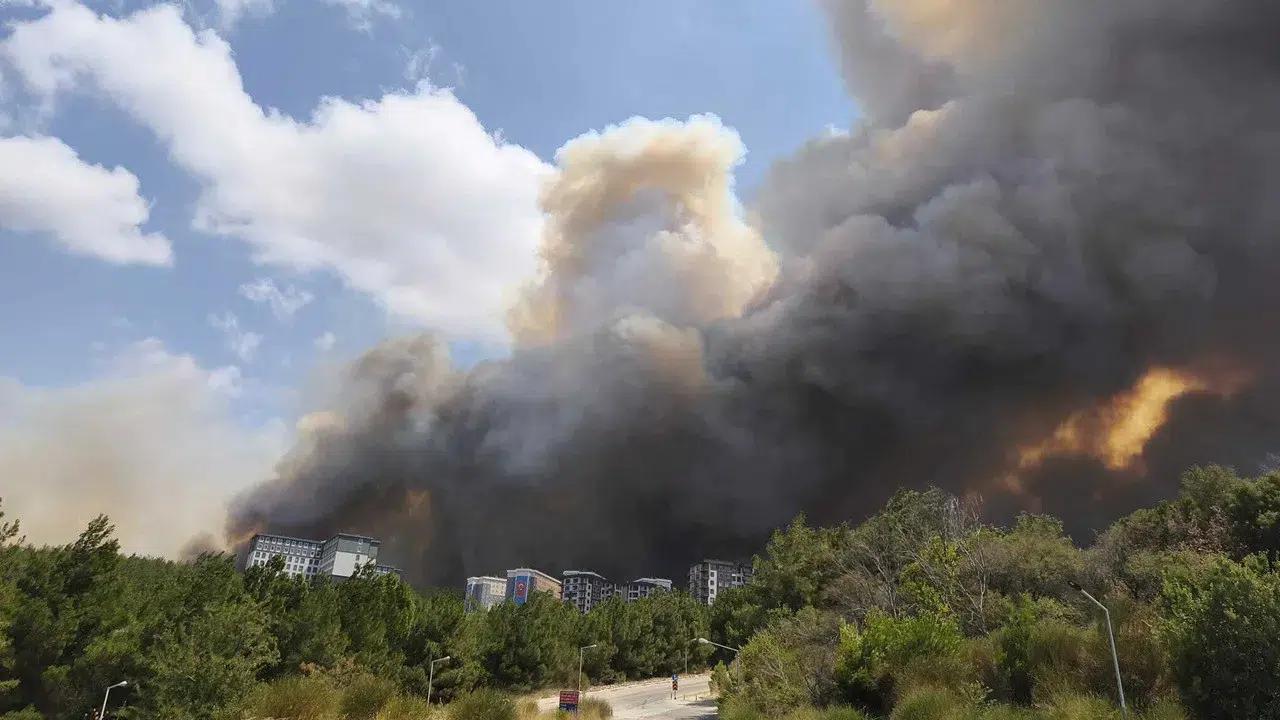 Çanakkale Dardanos’ta Orman Yangını: Havadan ve Karadan Yoğun Müdahale Sürüyor