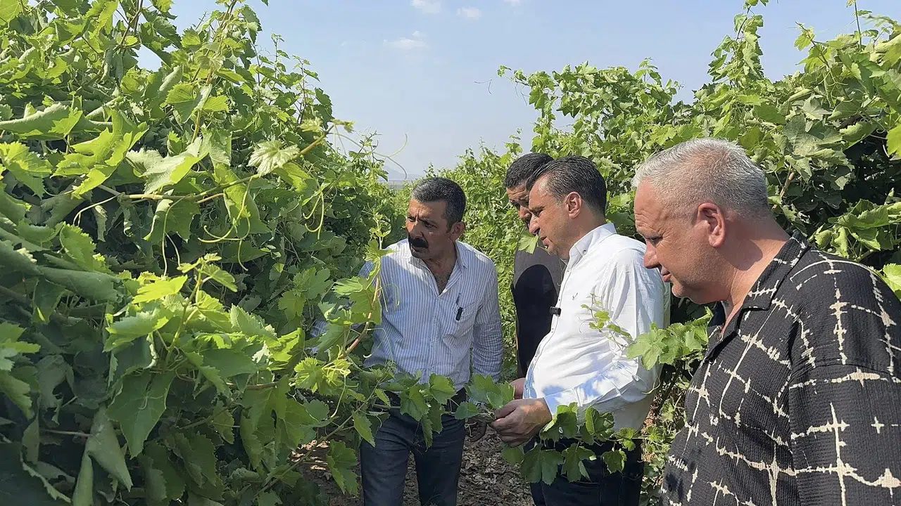 Manisalı Üzüm Üreticisi CHP’li Başevirgen’e Dert Yandı: “Emeğimiz Hiçe Sayılıyor”