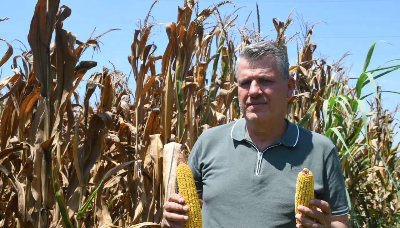 CHP'li Barut: "Sıcak değil, sorunlar yakıyor!"