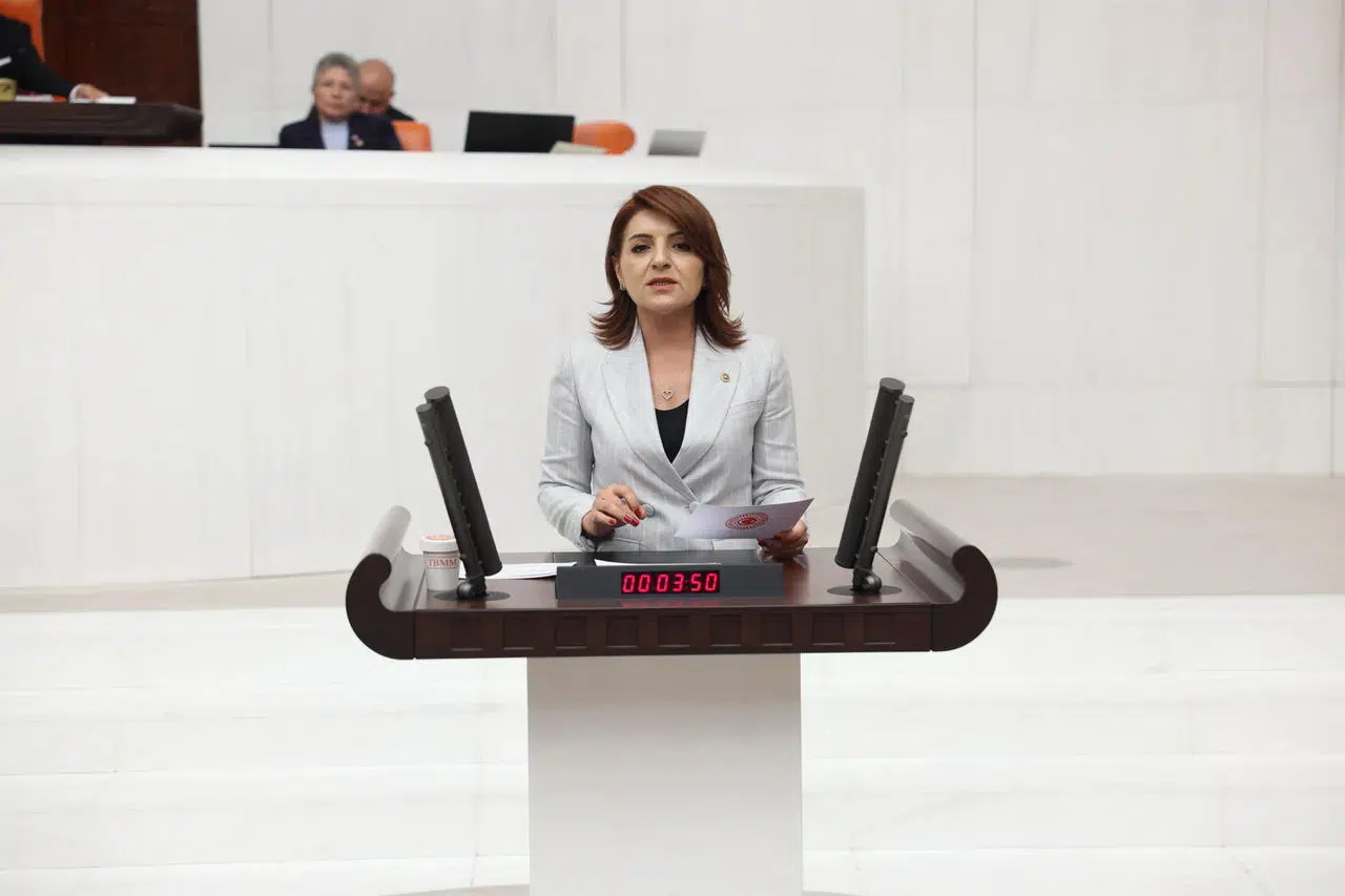 CHP'li Gülcan Kış: Her depremde aynı kara tablo: Hatlar çöküyor, devlet seyrediyor!