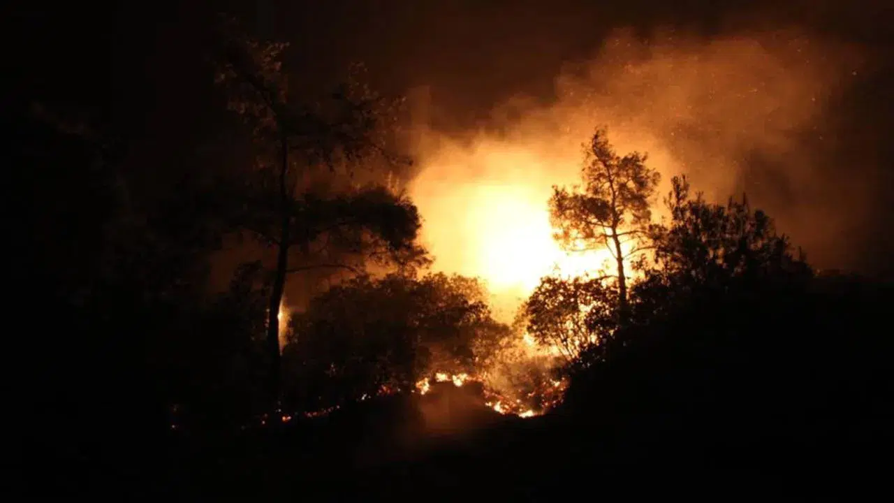 Mersin ve Çanakkale’de Orman Yangınlarına Müdahale Sürüyor