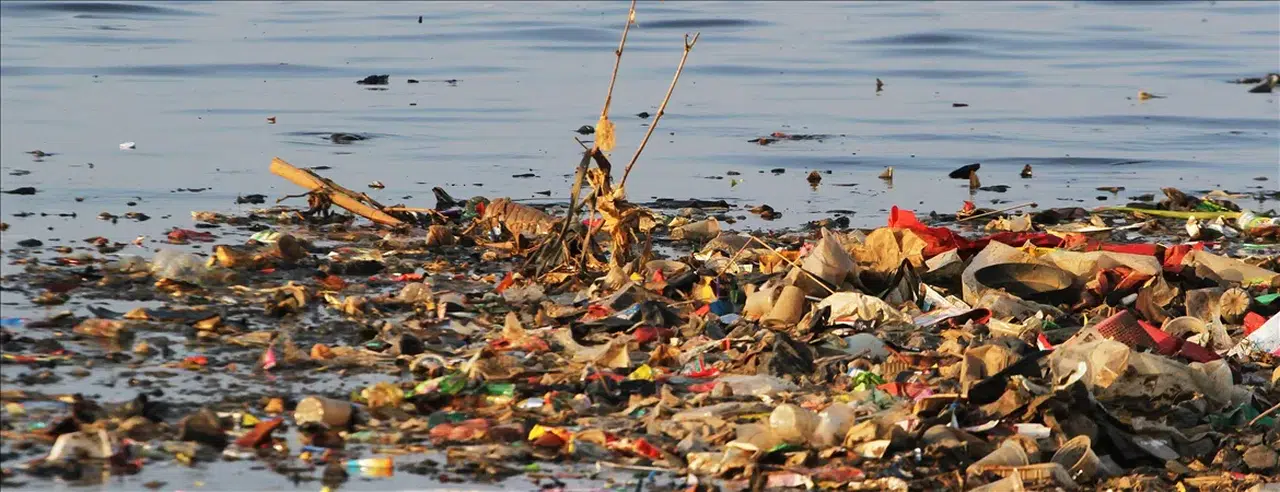 Plastik Kirliliğiyle Mücadelede Kritik Haftalar: Cenevre’de Anlaşma Arayışı