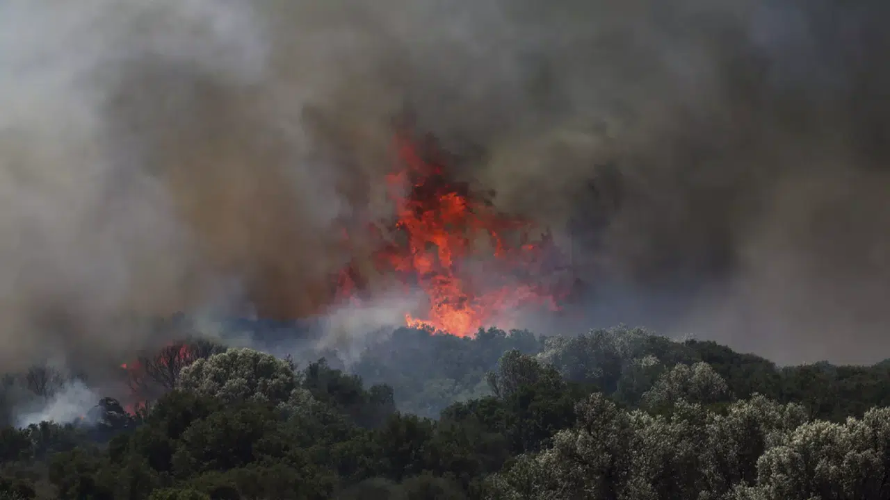 Tekirdağ’da Rüzgarla Yeniden Alevlenen Yangın Kontrol Altına Alındı
