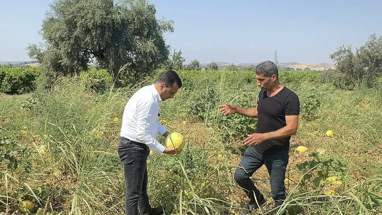 CHP’li Başevirgen: Bu düzen çiftçiyi bitirir!