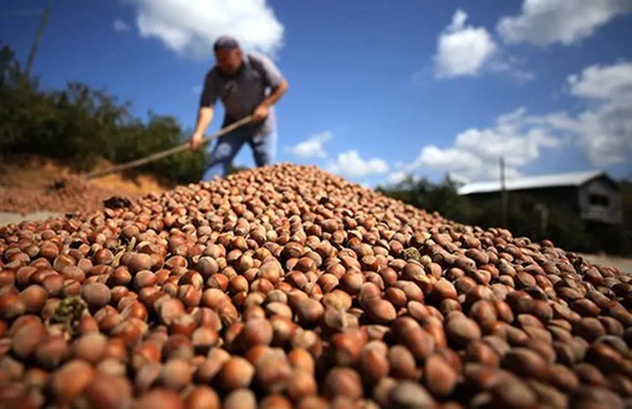 Giresun Belediye Başkanı Köse: “Üreticilerimizin sesi olmaya devam edeceğiz."