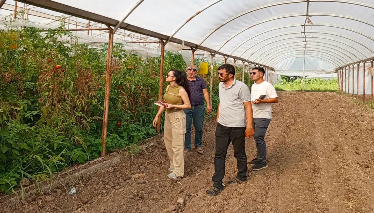 Çankaya Belediyesi, Organik Pazarlarda Sertifika Denetimlerini Sıkılaştırdı