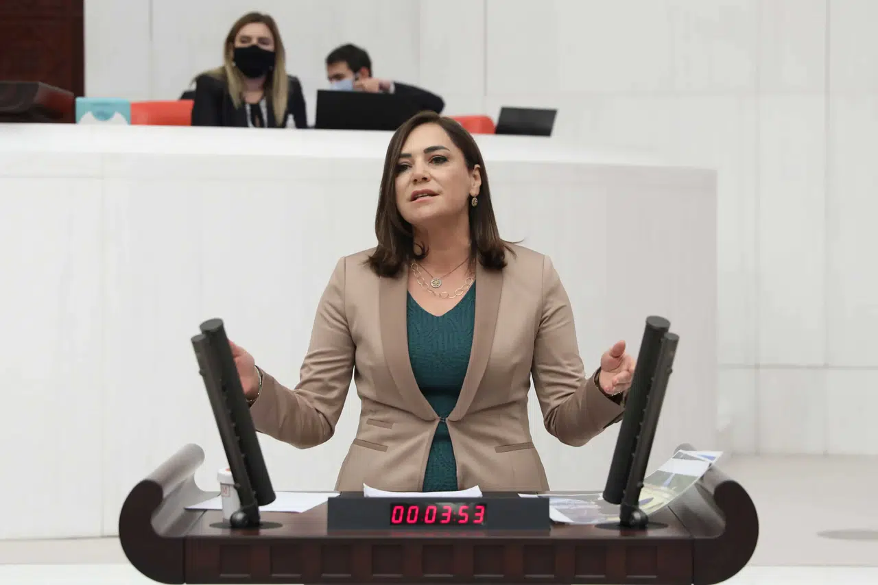 CHP'li Candan Yüceer, kamu spotunda Atatürk'ün yer almama gerekçesini sordu