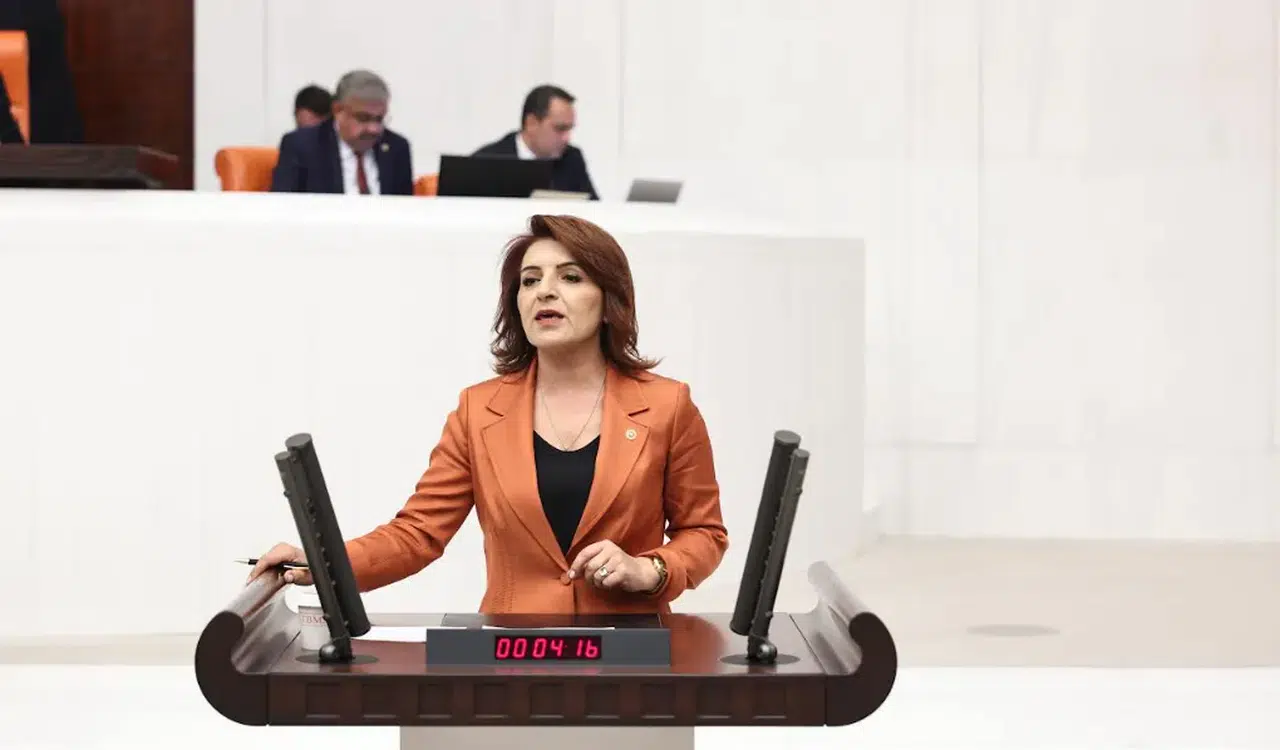 CHP Mersin Milletvekili Gülcan Kış: Emekli ve asgari ücretli açlık sınırının altında