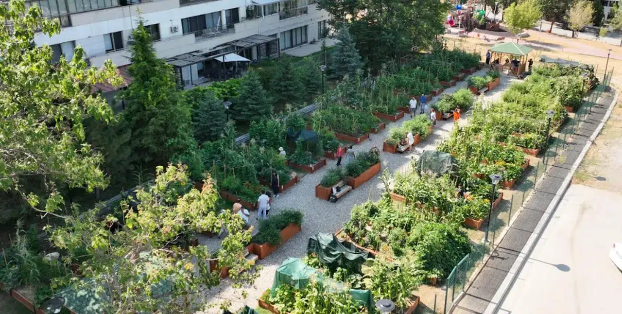 Çankaya'da Kent Bostanı Güz Eğitimleri Başlıyor, Başvurular Alınıyor