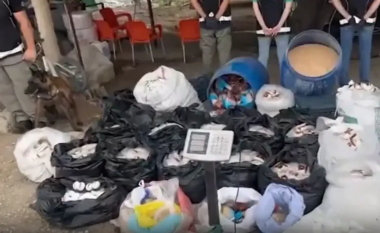 İçişleri Bakanı Ali Yerlikaya: Mersin'de 3.5 milyon uyuşturucu hap ele geçirildi