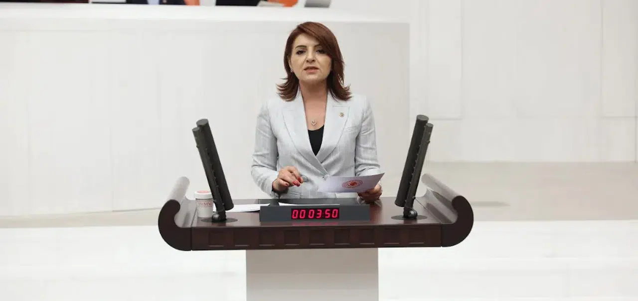 CHP'li Gülcan Kış Saray'ın israfı eleştirildi: Her saat 72 asgari ücret harcanıyor!