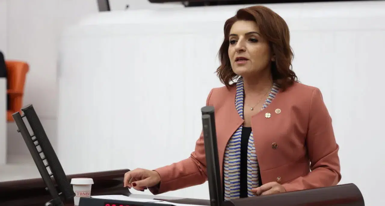 CHP'li Gülcan Kış'tan, köprüler ve otoyolların özelleştirmeye açılmasına sert tepki