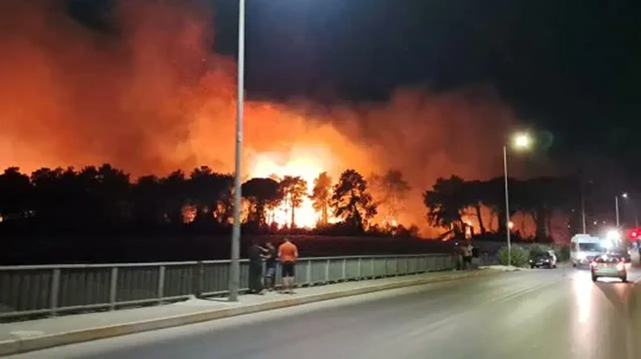 Antalya Belek'te orman yangınına geniş çaplı müdahale sürüyor