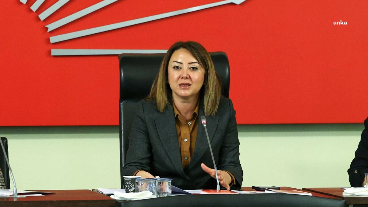 CHP'li Gül Çiftci: "Esila Ayık ve arkadaşlarının tahliyesi sevindirici ancak tutukluluk gerekçesi adalet adına utanç vericidir"