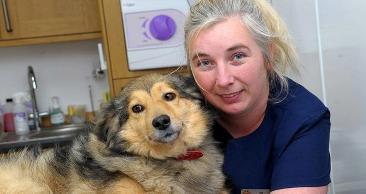 KKTC'de yaşayan İngiliz aile, 'hayvanlara eziyet'ten yargılanacak