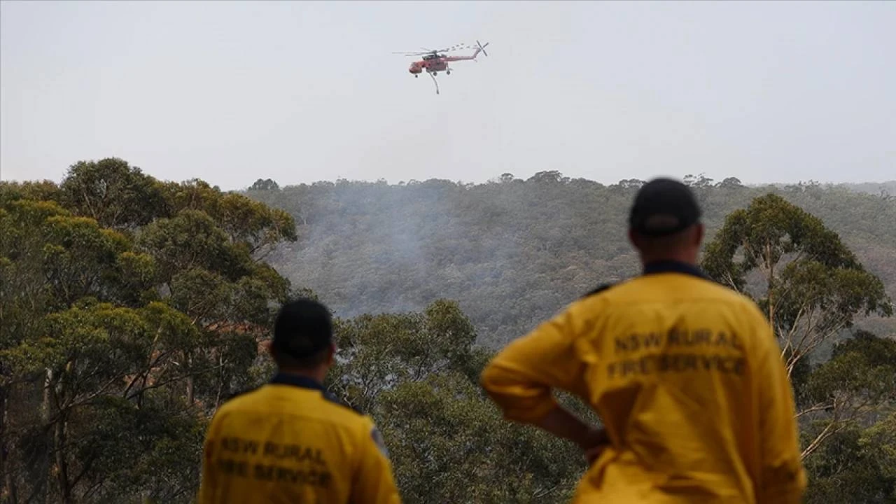 Avustralya'da 41 bin hektarlık ormanlık alan yangında yok oldu