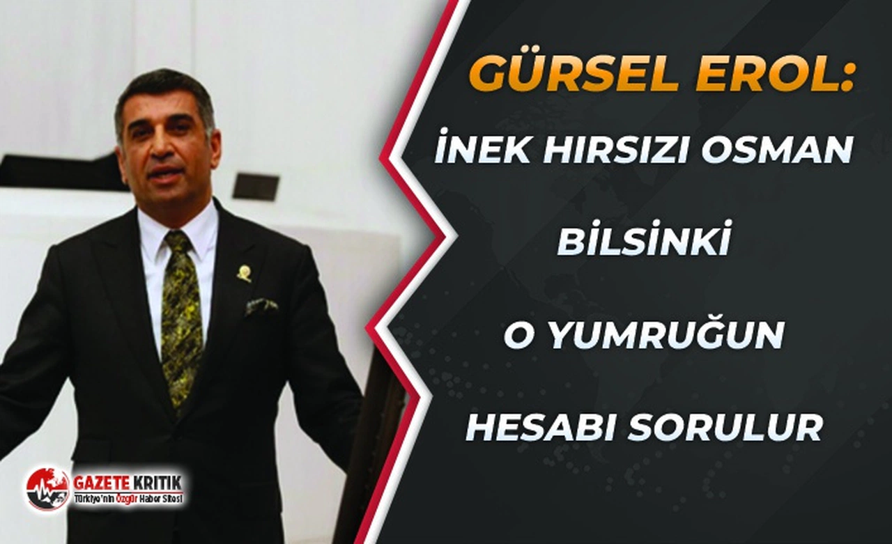 Gürsel Erol, linç girişimini Meclis'e taşıdı:İnek hırsızı Osman bilsin ki o yumruğun hesabı sorulur