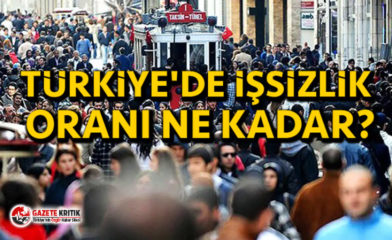 Sezgin Tanrıkulu, Saraya Türkiye'de İşsizlik Oranını Sordu!