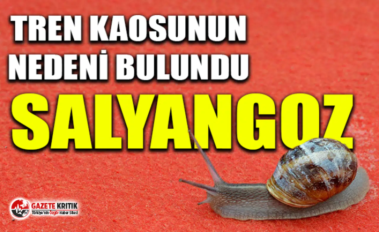 Japonya'da tren kaosunun nedeni bulundu: Salyangoz