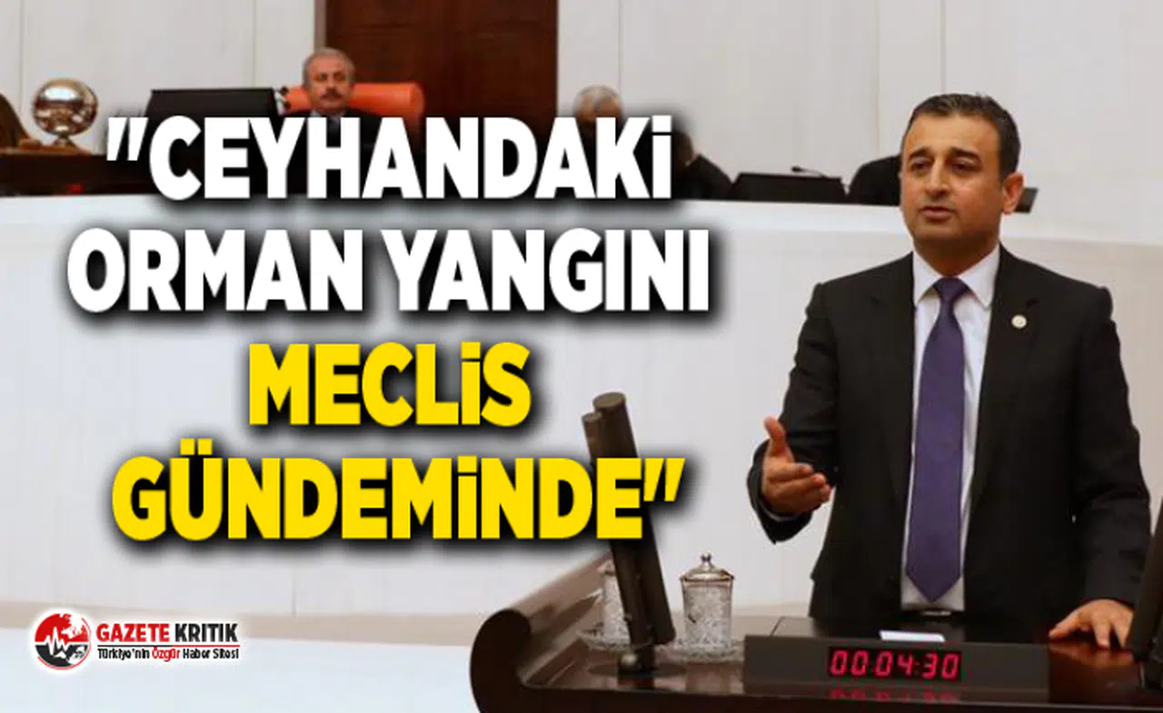 "Ceyhandaki Orman Yangını Meclis Gündeminde"