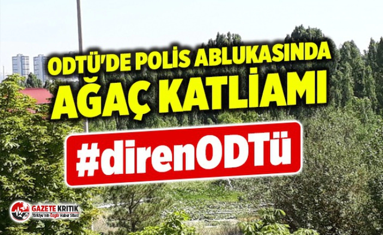 ODTÜ'de polis ablukasında ağaç katliamı... DirenODTÜ!