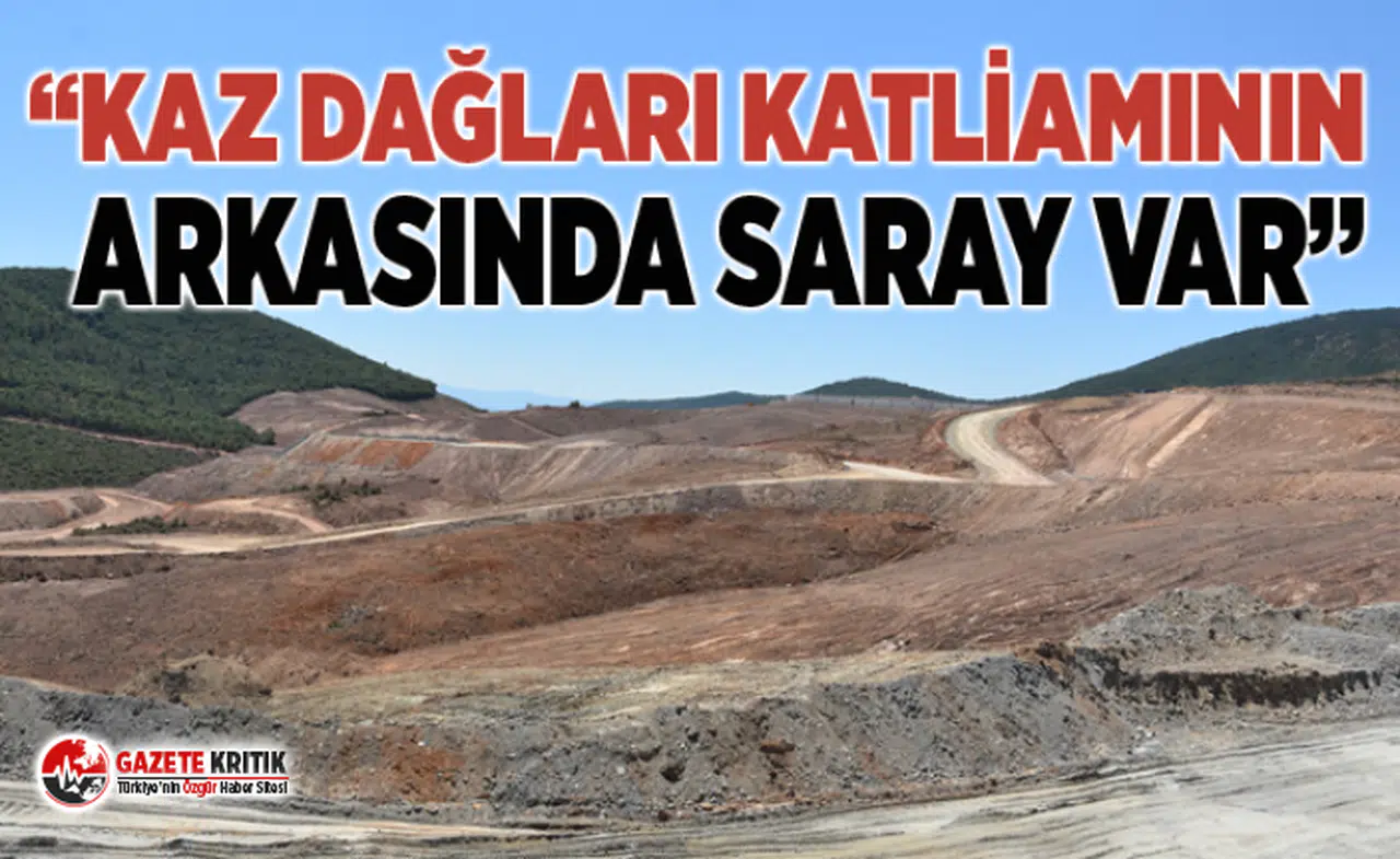 ÖZGÜR CEYLAN KAZ DAĞLARI KATLİAMININ ARKASINDA SARAY VAR