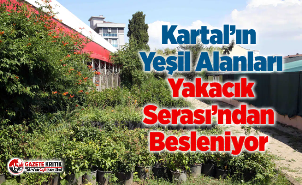 Kartal’ın Yeşil Alanları Yakacık Serası’ndan Besleniyor