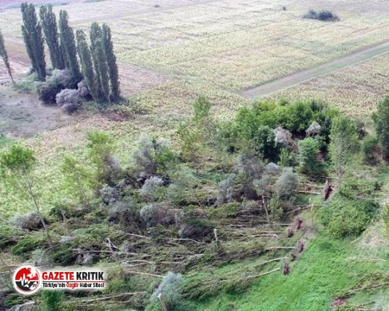 Kırklareli'de hortum ! Hortum ağaçları kökünden söktü