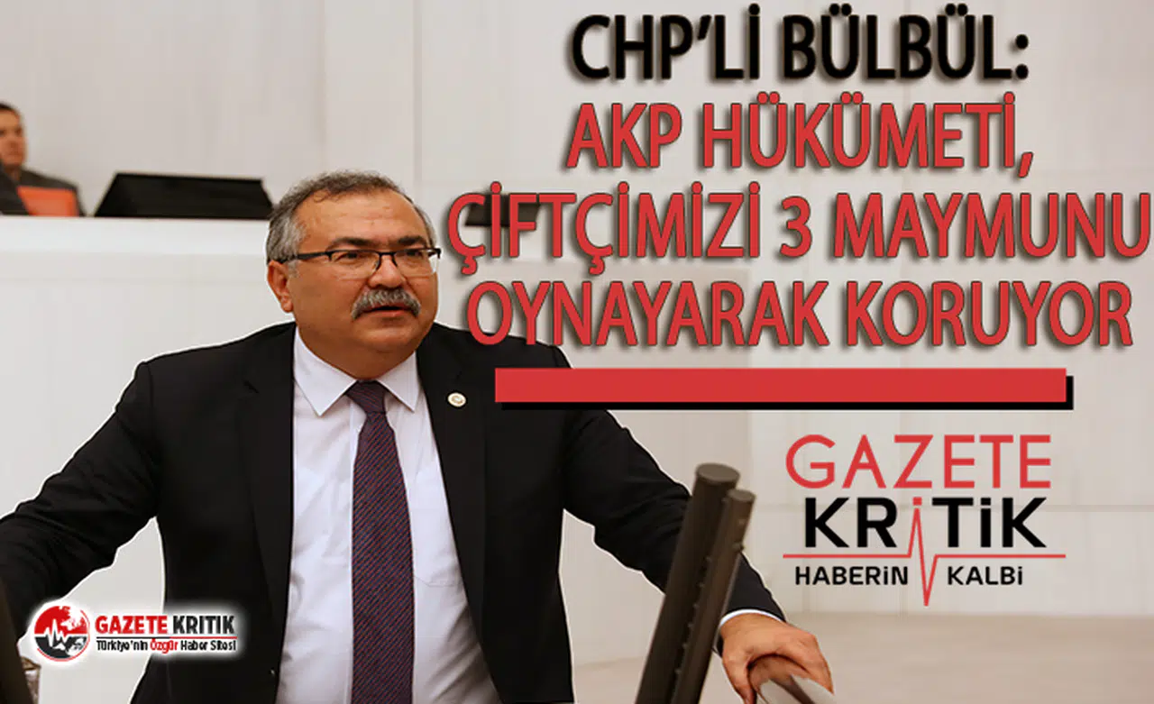CHP'li Bülbül: AKP 3 Maymunu Oynuyor
