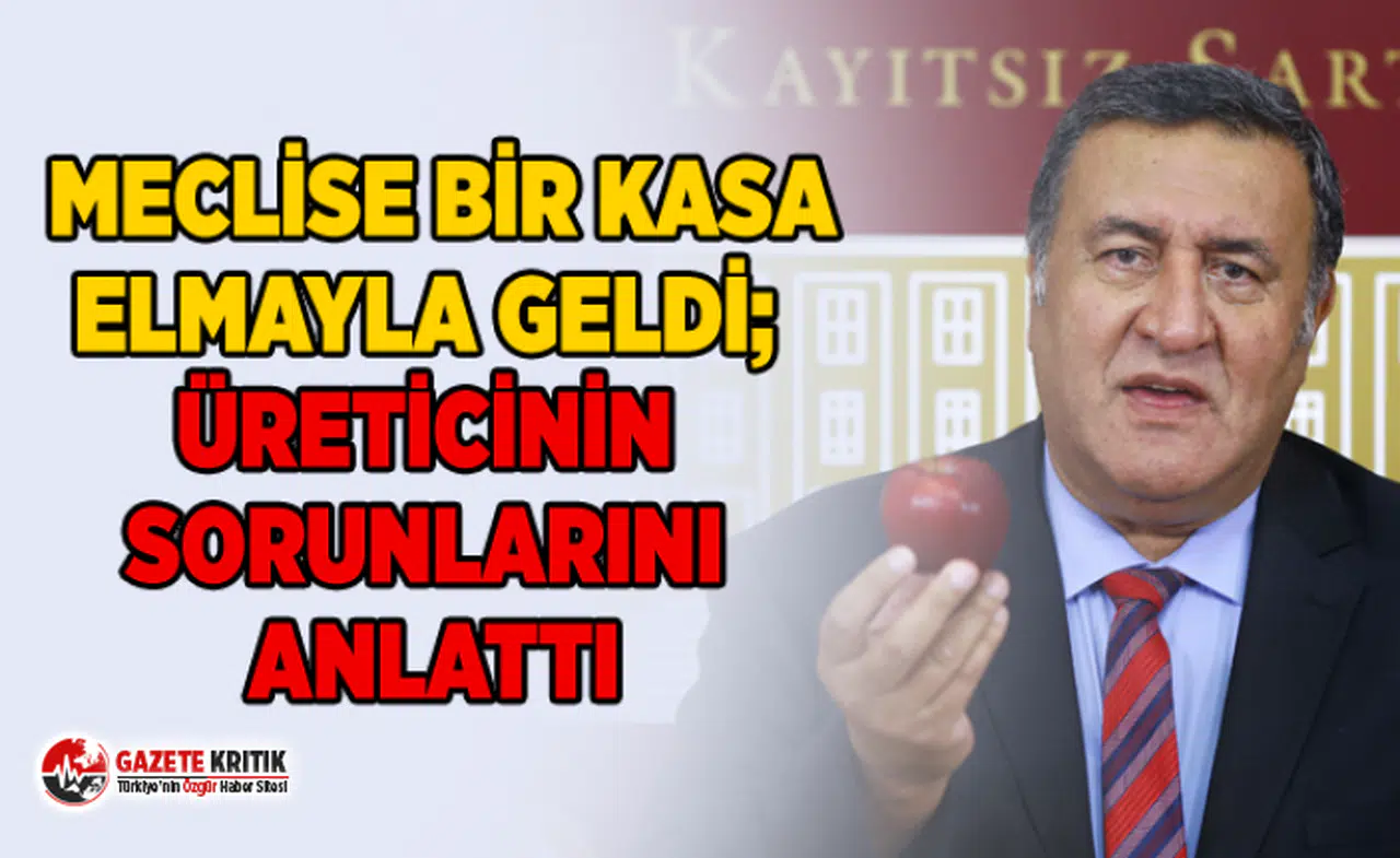 MECLİSE BİR KASA ELMAYLA GELDİ; ÜRETİCİNİN SORUNLARINI ANLATTI