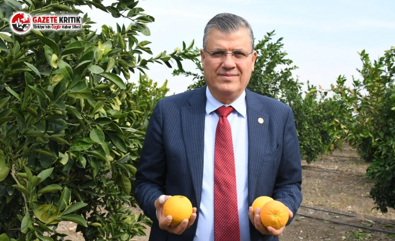 CHP'li Barut: Narenciyede DFİF Destekleri Derhal Ödensin