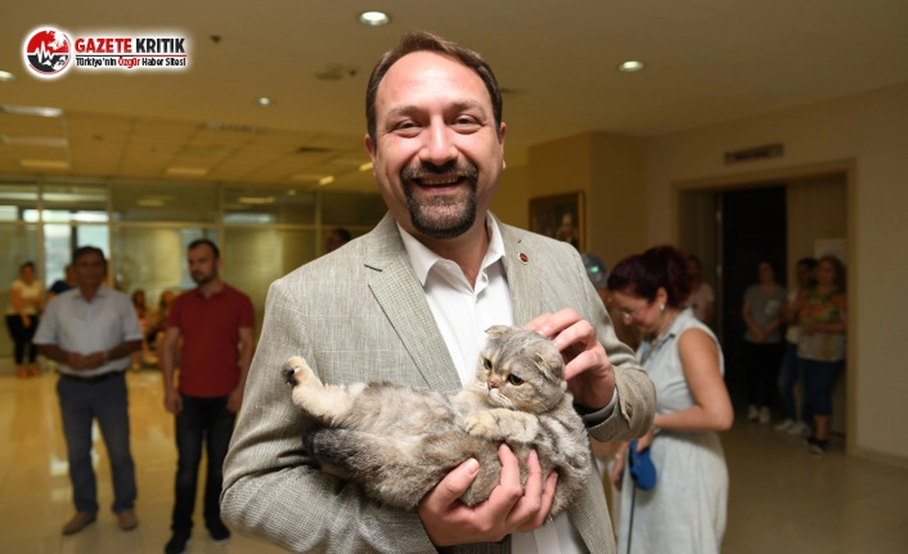 Çiğli Belediyesi’nden ‘’Pati Dostu İşletme’’ Projesi