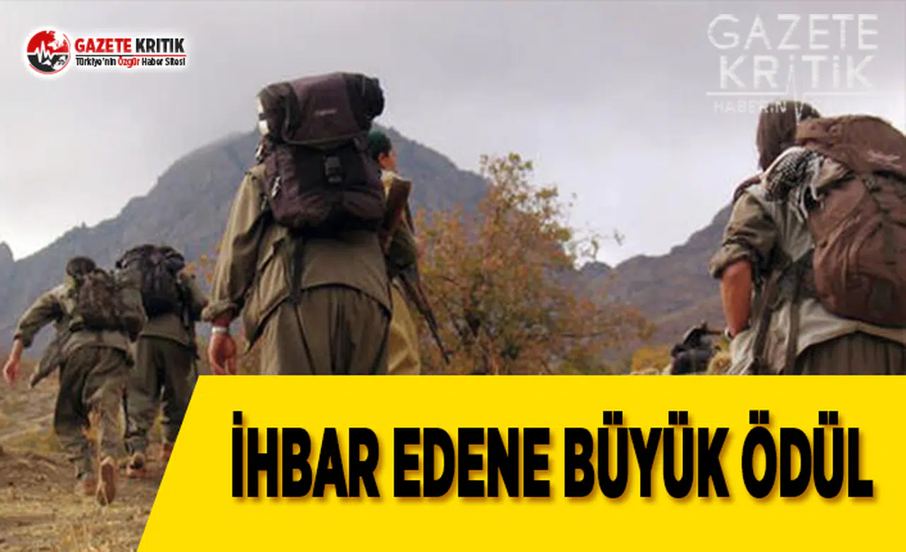 Resmi Gazete'de Yayımlandı: İhbar Edene 10 Milyon Liraya Kadar Ödül