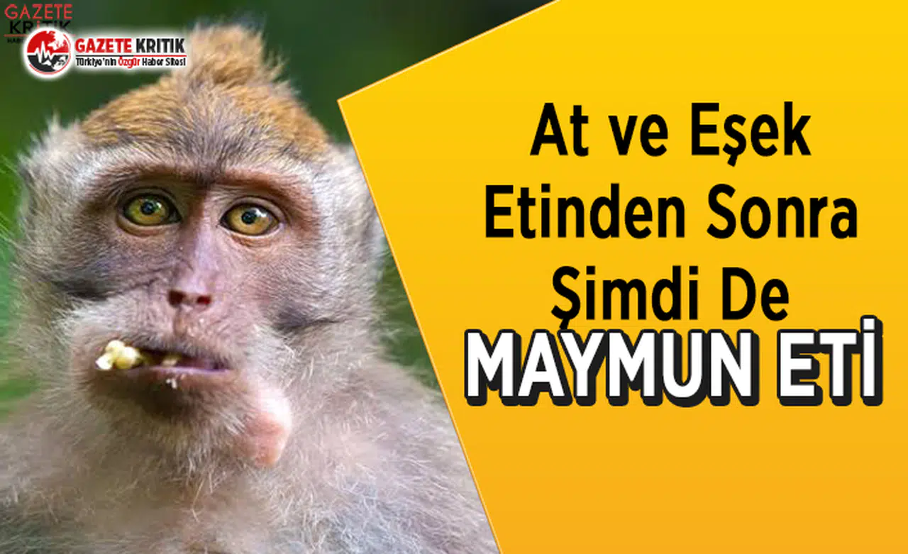 At ve Eşek Etinden Sonra Maymun Eti