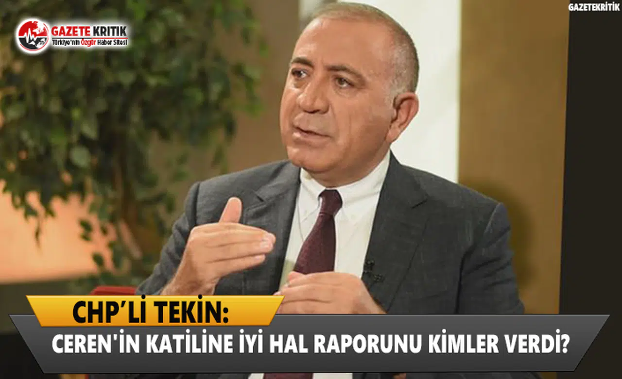 CHP'li Tekin: Ceren'in katiline iyi hal raporunu kimler verdi?