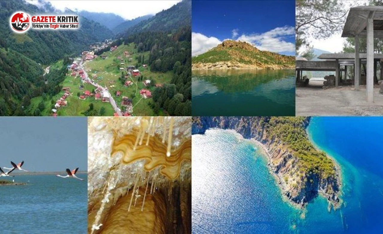 Dördü de Koruma Altına Alındı