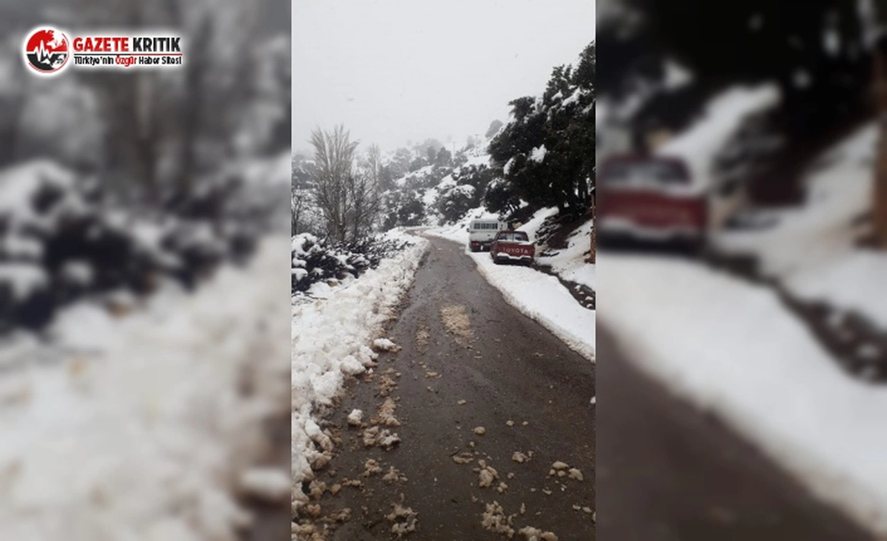 Konyaaltı Belediyesi Karla Kaplanan Yolları Açıyor