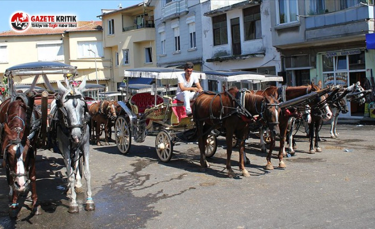 Ruam Kabusu Şimdi de Bolu'ya Sıçradı