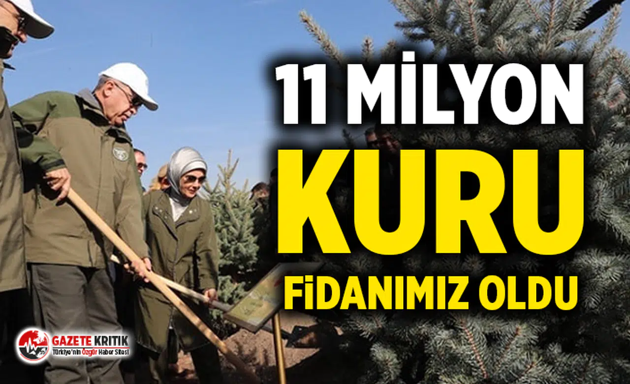 11 milyon fidan kampanyasında dikilen fidanlara ne oldu ?