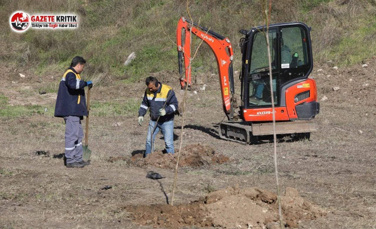 Buca’nın kalbine bin ağaçlık dev orman
