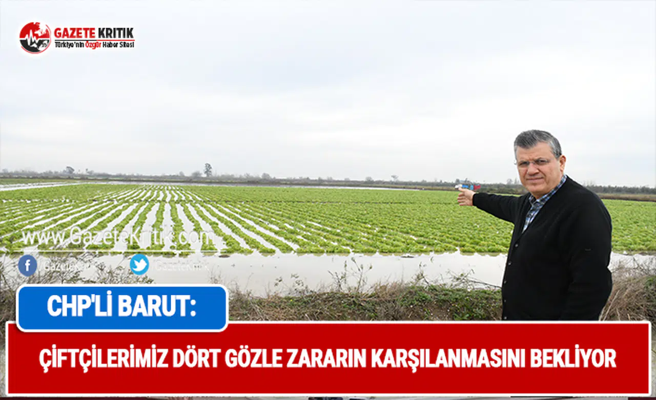 CHP'li Barut: Çiftçilerimiz dört gözle zararın karşılanmasını bekliyor