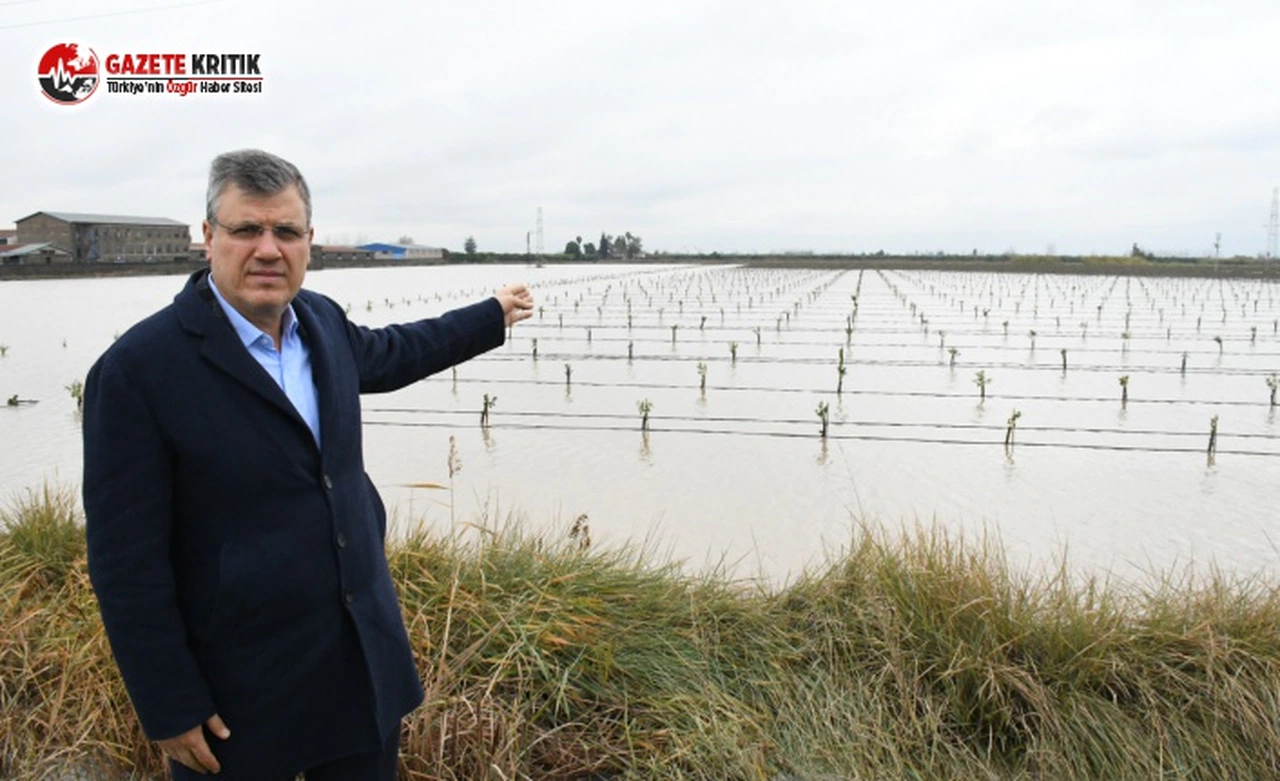 CHP'li Barut:Zarar tespiti yapılsın, çiftçi borçları faizsiz ertelensin
