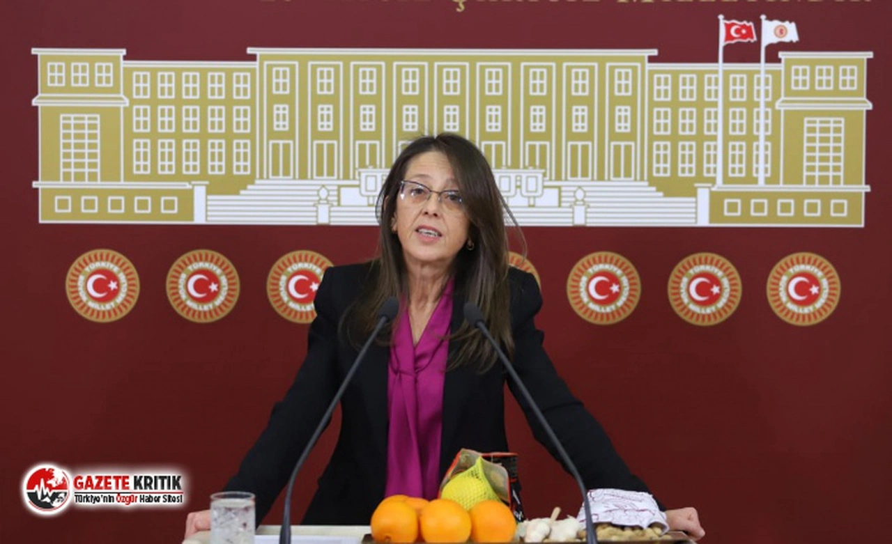 İstanbul Milletvekili Oya Ersoy:Elektrikte Doğalgazda soygun var!