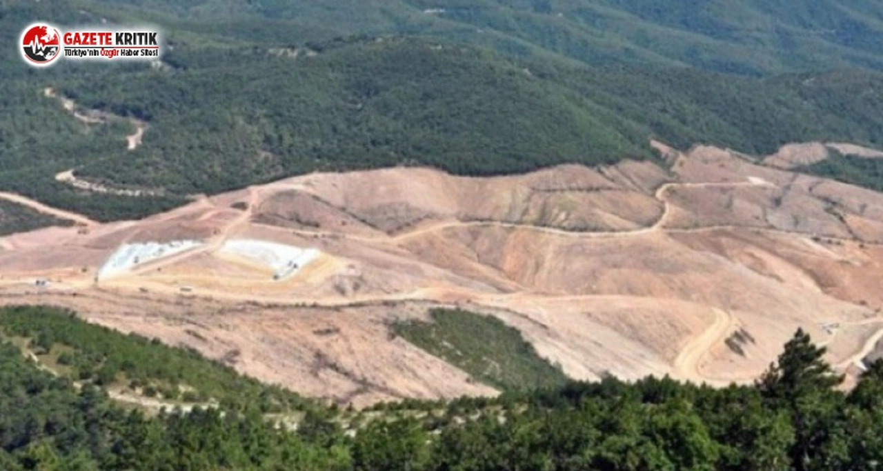 Kanadalı Alamos Gold hâlâ Kaz Dağları’nın peşinde!