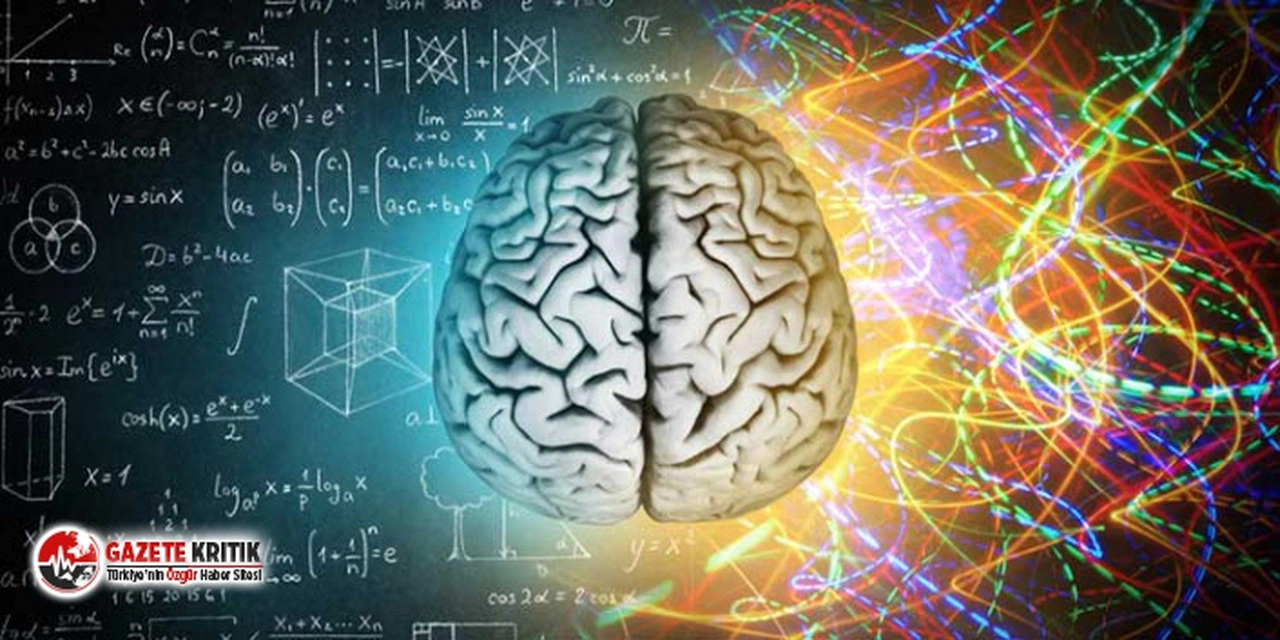 Bilim insanları, beynin yaşlanmasını yavaşlatmanın yolunu buldu