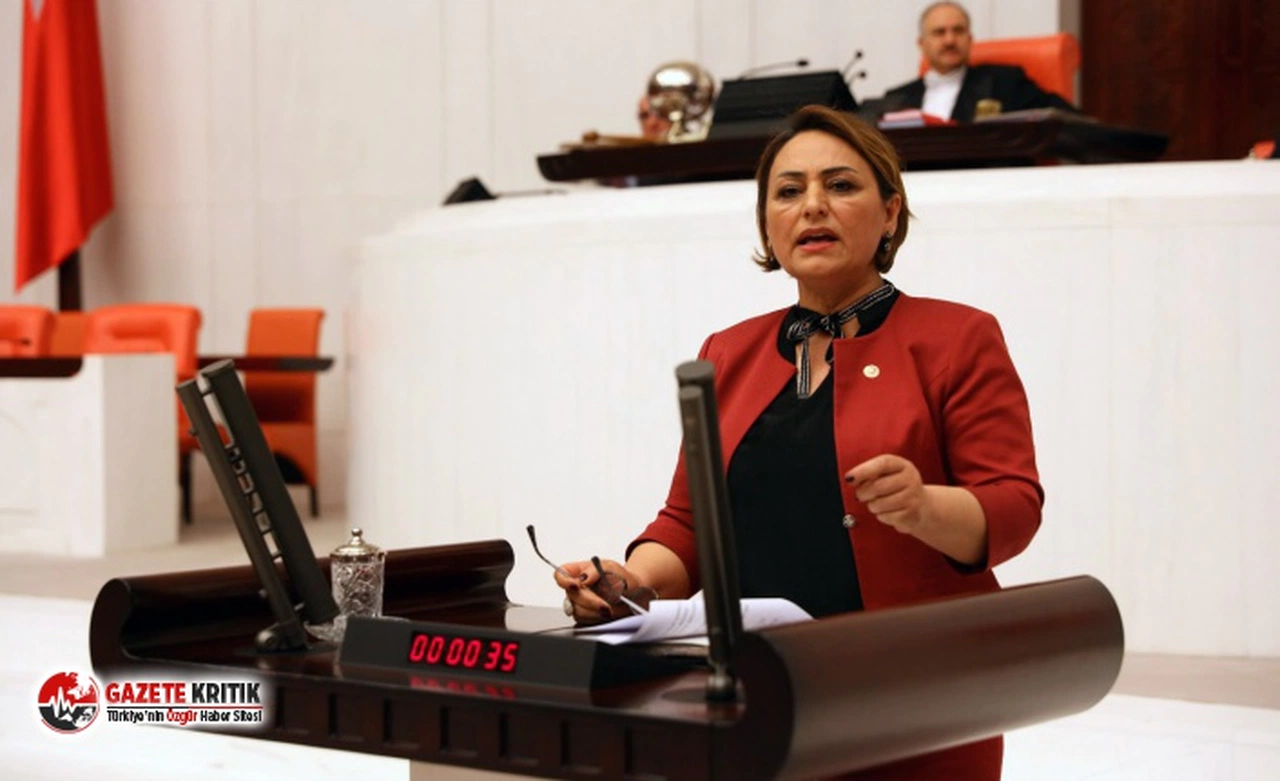 CHP'li Şevkin:Milli Eğitim Bakanı’na seslenerek rehabilitasyon öğretmenlerinin sorunlarına çözüm bulunmasını istedi