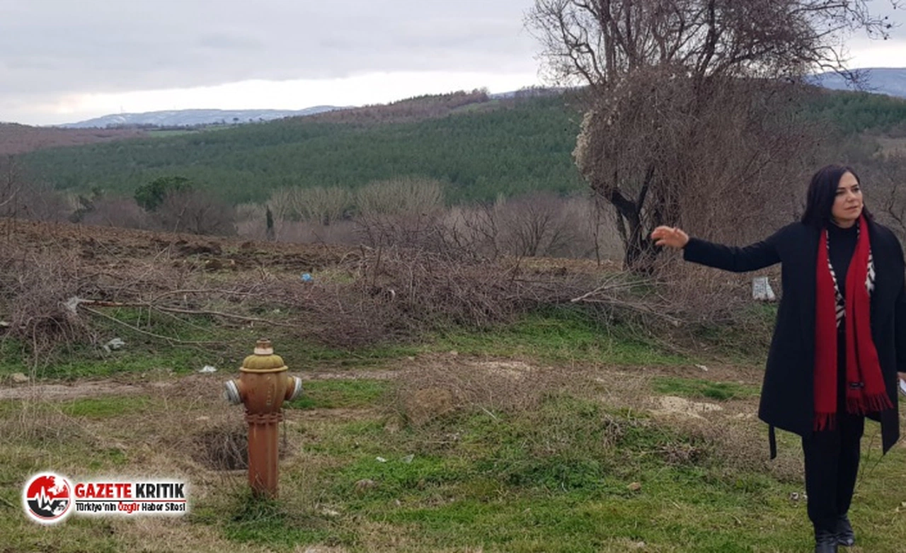 CHP Tekirdağ Milletvekili Candan Yüceer: “Bu Talana İzin Vermeyeceğiz!”
