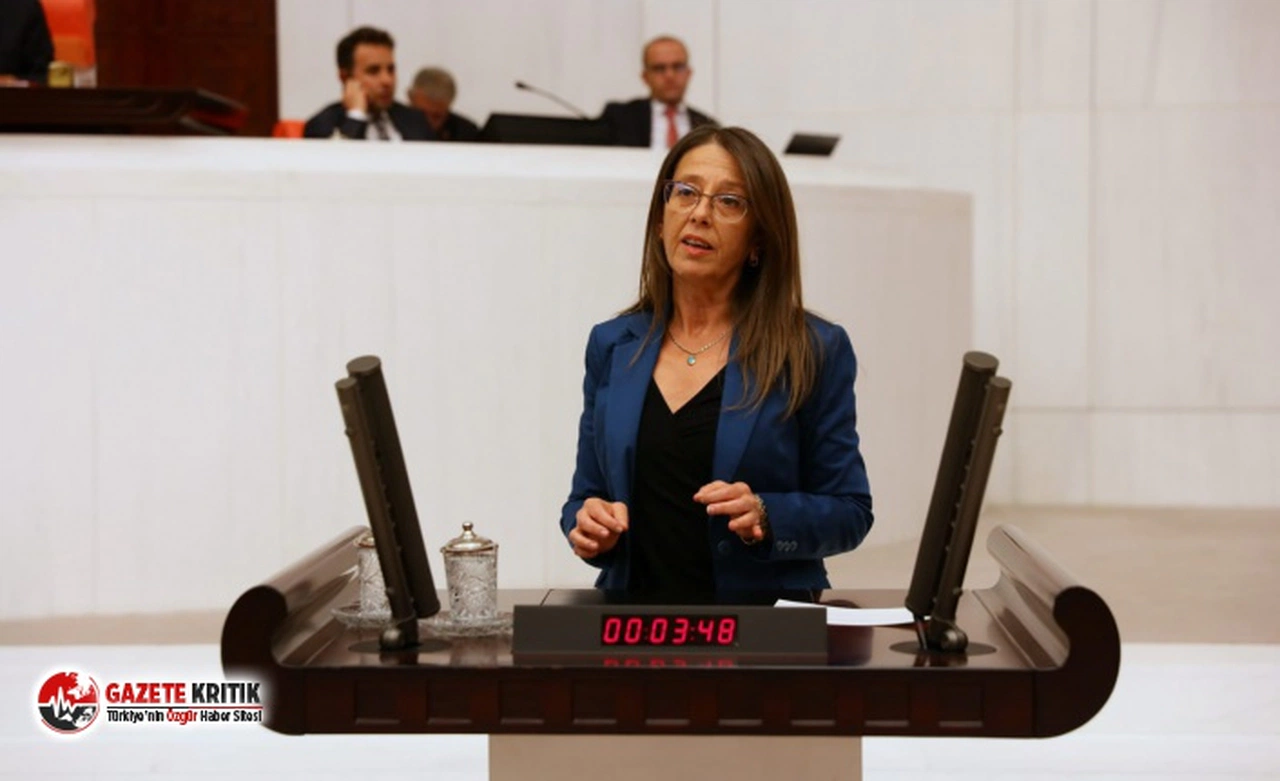 ERSOY: ''KÖPRÜ BEDELİNİ ÖDEMEK İÇİN DAHA ÇOK VERGİ ÖDEMEK ZORUNDA KALIYORUZ''