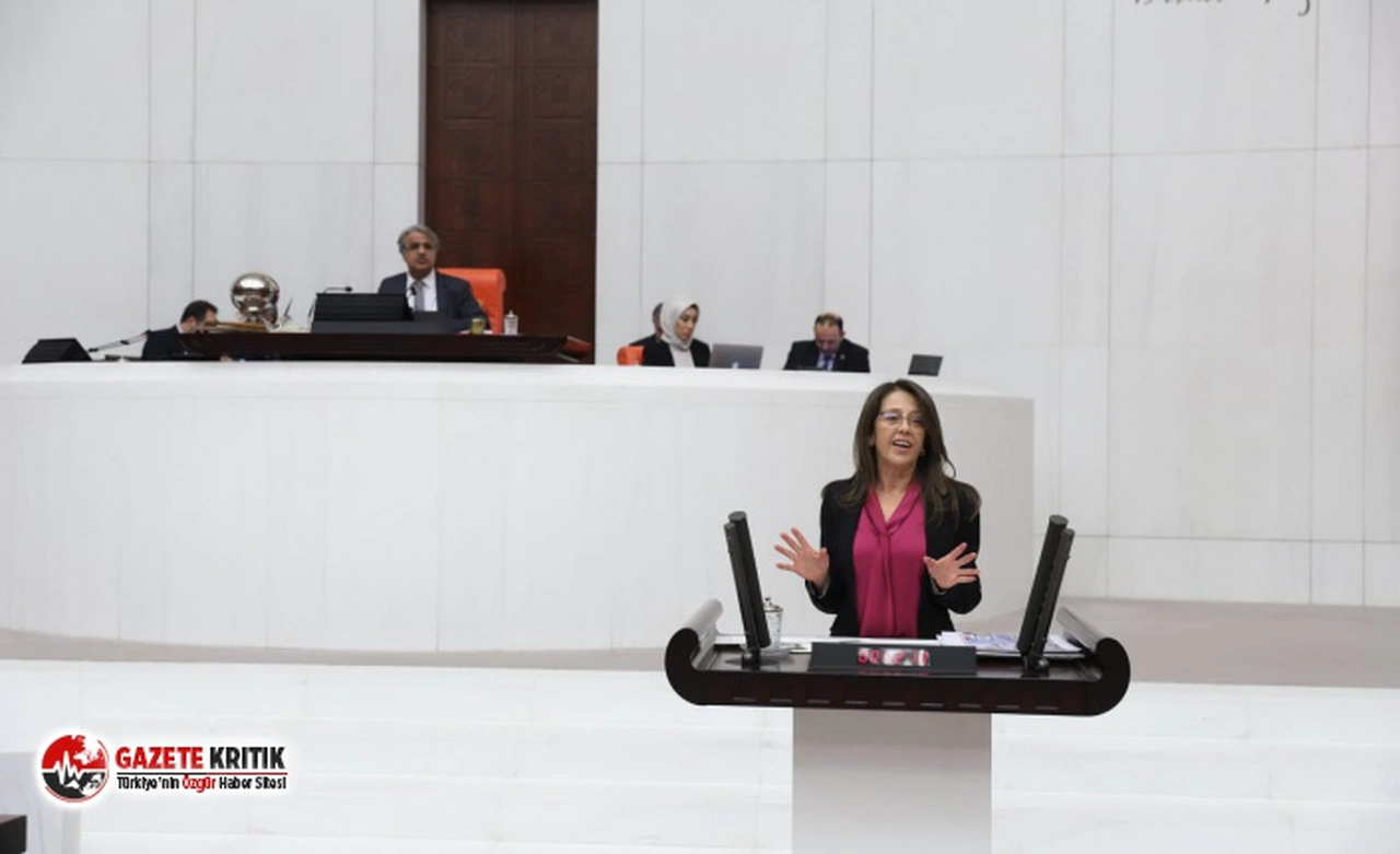 İstanbul Milletvekili Oya Ersoy: “Bekçilerin Zor Ve Silah Kullanma Yetkisi Halkta Korku Ve Endişe Yaratacak”