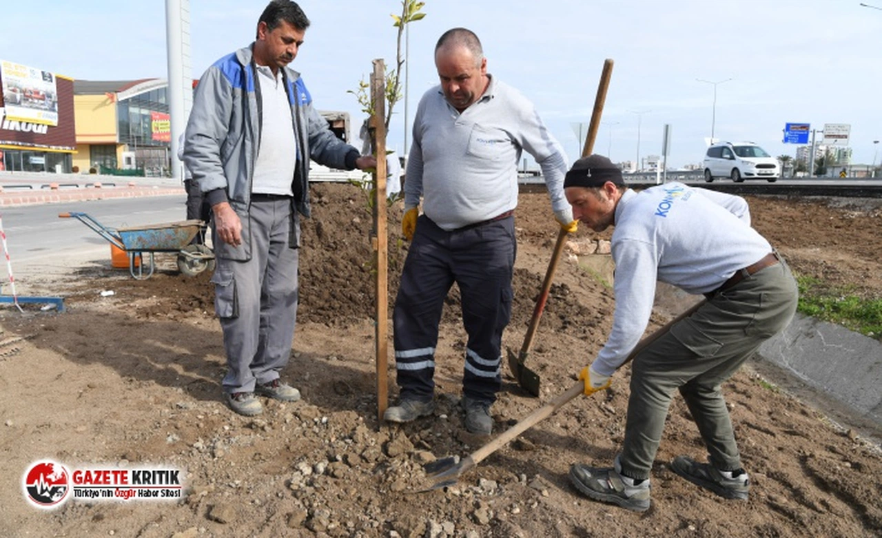 Sarısu Mahallesine 15 bin metrekare peyzaj!